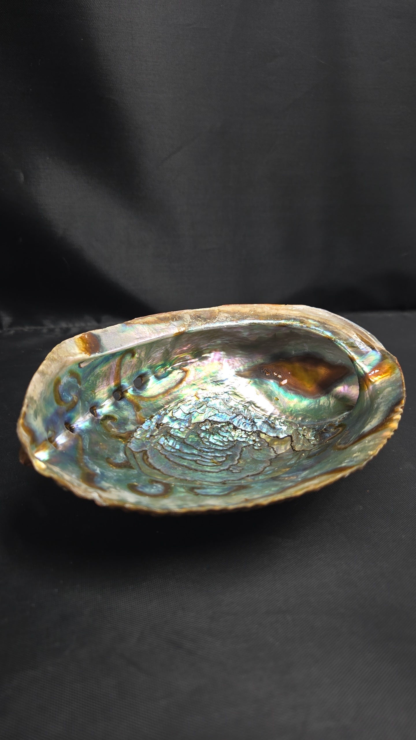 Large Barnicals Ash Tray Shell