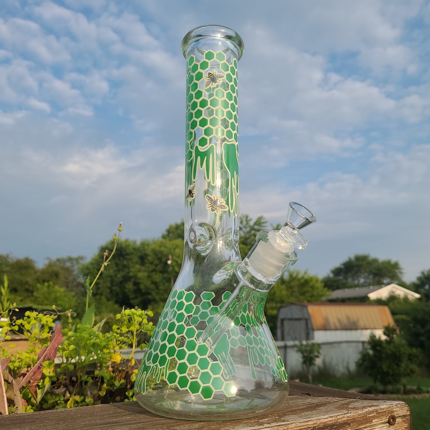 14" Honeycomb Bees Nest Beaker bong