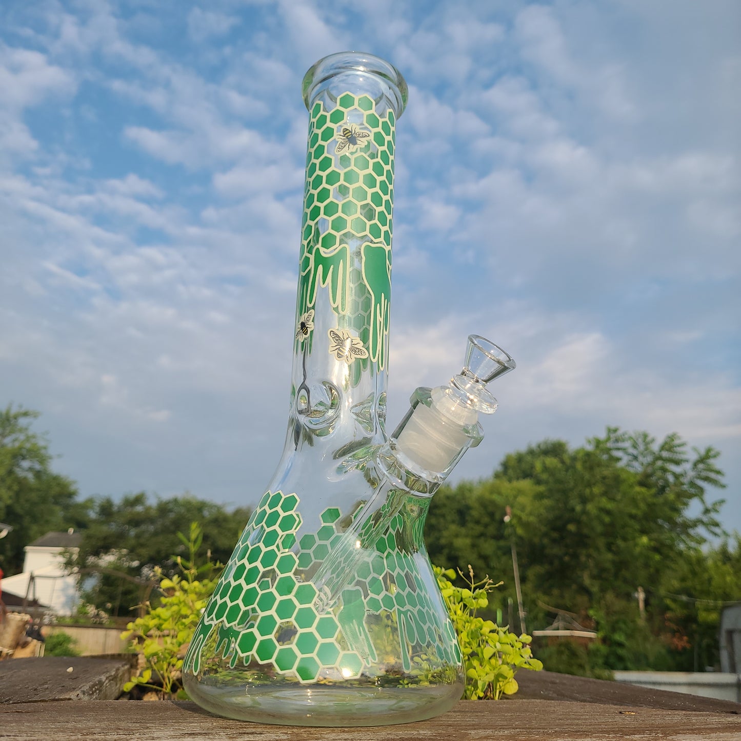 14" Honeycomb Bees Nest Beaker bong