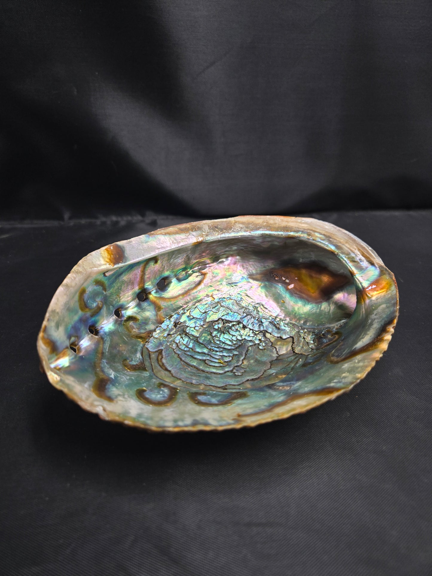 Large Barnicals Ash Tray Shell