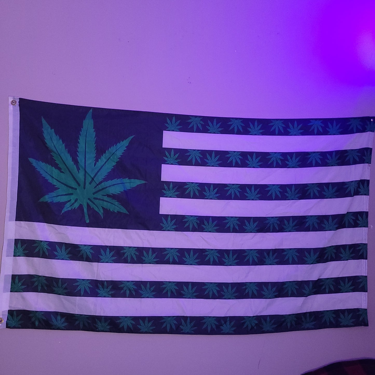 Giant Hemp Flag